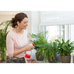 Femme utilisant le pulvérisateur manuel Birchmeier Foxy Plus pour vaporiser les plantes d'intérieur.