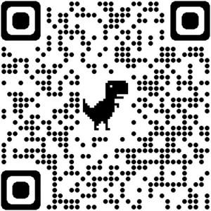Code QR pour les idées de bricolage avec la palette Euro EPAL pin naturel, scannez pour les instructions.