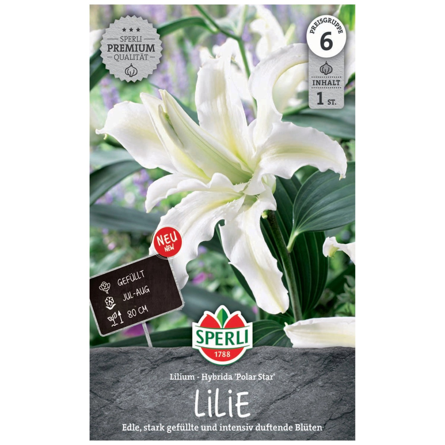 Sperli Blumenzwiebel Lilie Lilium Hybrida Polar Star Weiss 1 Stk