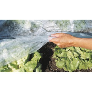 Telo Windhager bianco per giardino sopra un letto di lattuga, protegge da gelo e parassiti.