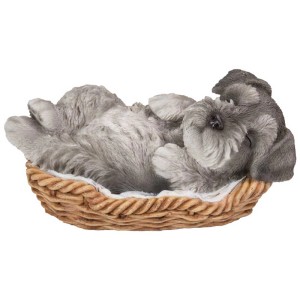 Grauer Schnauzer-Welpe schläft in einem Korb. Gartendeko von Vivid Arts.
