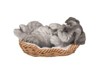 Purple Fox Weihnachtskarte Mit Labrador-Motiv - 145 X 145 Mm, Weiß Mit Opulentem Gartendesign