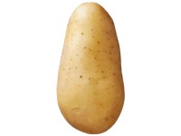 Samen Mauser Saatkartoffel Annabelle 2,5 kg