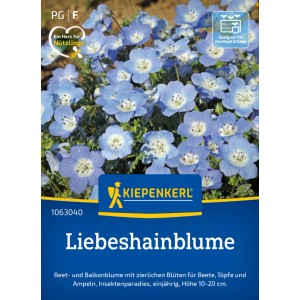 Graines de fleurs Kiepenkerl Liebeshainblume avec des fleurs bleu clair et un centre blanc.
