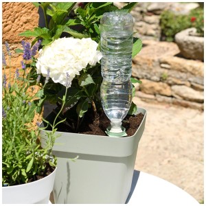 Système d'arrosage Hozelock Aquasolo avec bouteille d'eau dans un pot avec plante.