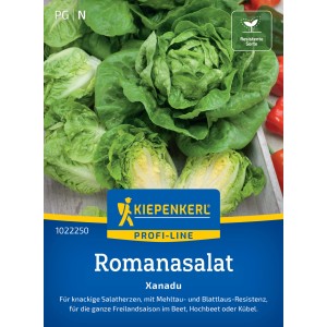Kiepenkerl Laitue Romaine Xanadu : Mini laitue romaine verte compacte, variété résistante.
