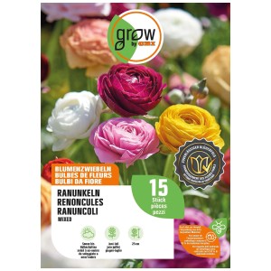 GROW by OBI Renoncule d'Asie, mélange de bulbes avec des fleurs colorées.