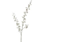 Mica Decorations Kunstblume Oncidium Creme Höhe 78 cm
