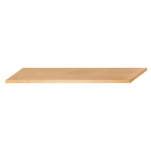 Kraftwerk Multiplex-Platte (HxBxT) 160 x 60 x 3 cm