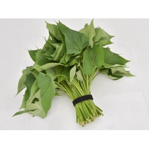 Attache pour plantes de 5 m avec velcro, pour attacher facilement les plantes dans le jardin.