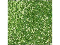 Deko-Effektflitter Hellgrün 14 ml