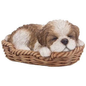 Schlafender, brauner Shih-Tzu-Welpe im Korb, Gartendeko von Vivid Arts.