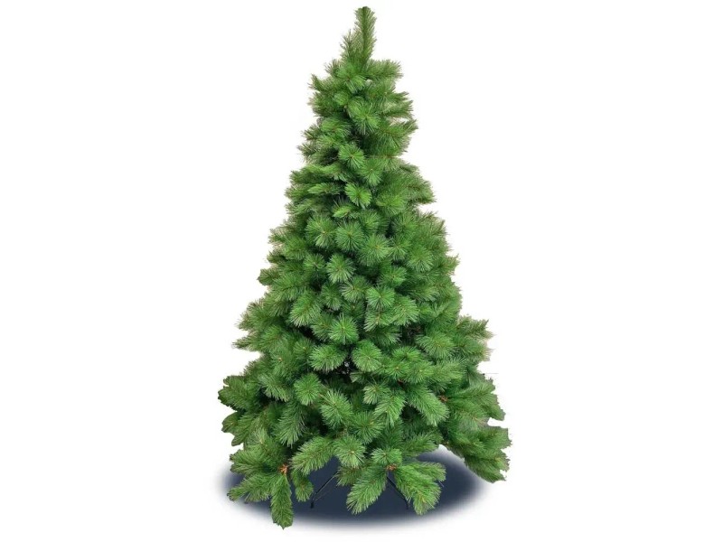 Kiefer PVC Höhe 180 cm kaufen bei OBI