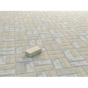 Pavé béton rectangulaire Jura-Nuanciert, 20x10x6 cm, pour terrasse & allée.