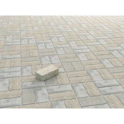 Pavé rectangulaire Béton Jura (HxlxP) 6 x 20 x 10 cm