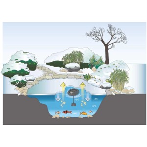 Illustrazione: Oase IceFree 4 Seasons antighiaccio per laghetto invernale, che fornisce scambio di ossigeno e protezione per i pesci.
