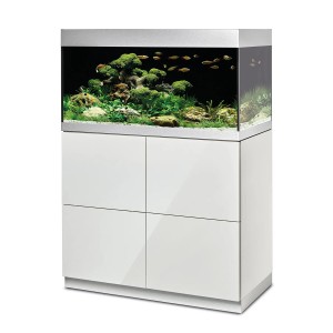 Ensemble aquarium Oase HighLine 200 l blanc avec meuble, planté et avec poissons.