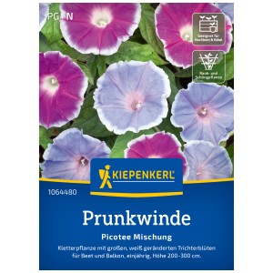 Kiepenkerl Liseron Picotee Mélange, graines de fleurs avec des fleurs rose-violet et des bords blancs.