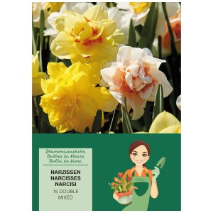 Mehrfarbige Narzissen-Mischung von GROW by OBI, 15 Stück. Frühlingsblüher für Beet und Garten.