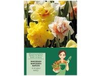 GROW by OBI Narzissen-Mischung 15 Stk. Narcissus