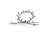 Philips Hue Festavia Lichterkette 500 LEDs Länge 40 m