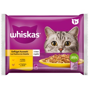 Whiskas 1+ Geflügel in Gelee, 4x85g: Nassfutter für ausgewachsene Katzen mit Huhn und Truthahn.