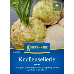 Nastro di semi Kiepenkerl sedano rapa 'Bruno' con bulbi lisci e rotondi e foglie verdi.
