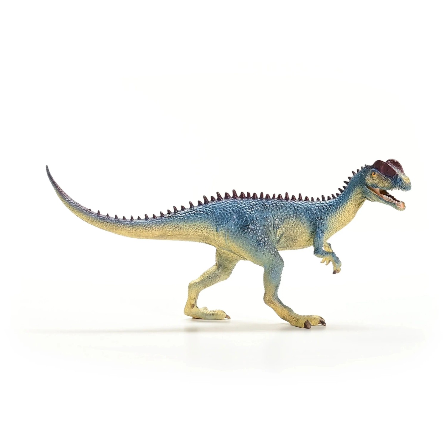 Schleich- Dilophosaurus, Color Azul (SCHLE-145672) (14567 Schleich- Dilophosaurus, Color Azul (SCHLE-145672) (14567