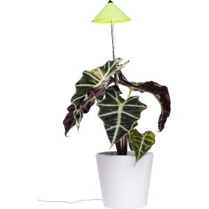 Lampada LED per piante Parus Sunlite 7W verde di Venso illumina la pianta in vaso bianco.