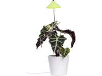 LED-Pflanzenlampe Sunlite Grün 7 W