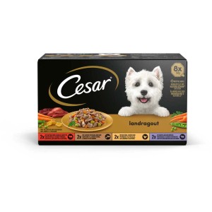 Cesar Landragout cibo umido per cani, confezione da 8 x 150g. Alimento umido con carne e verdure per cani.