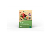 RhizoPlus für den Balkon 40 ml