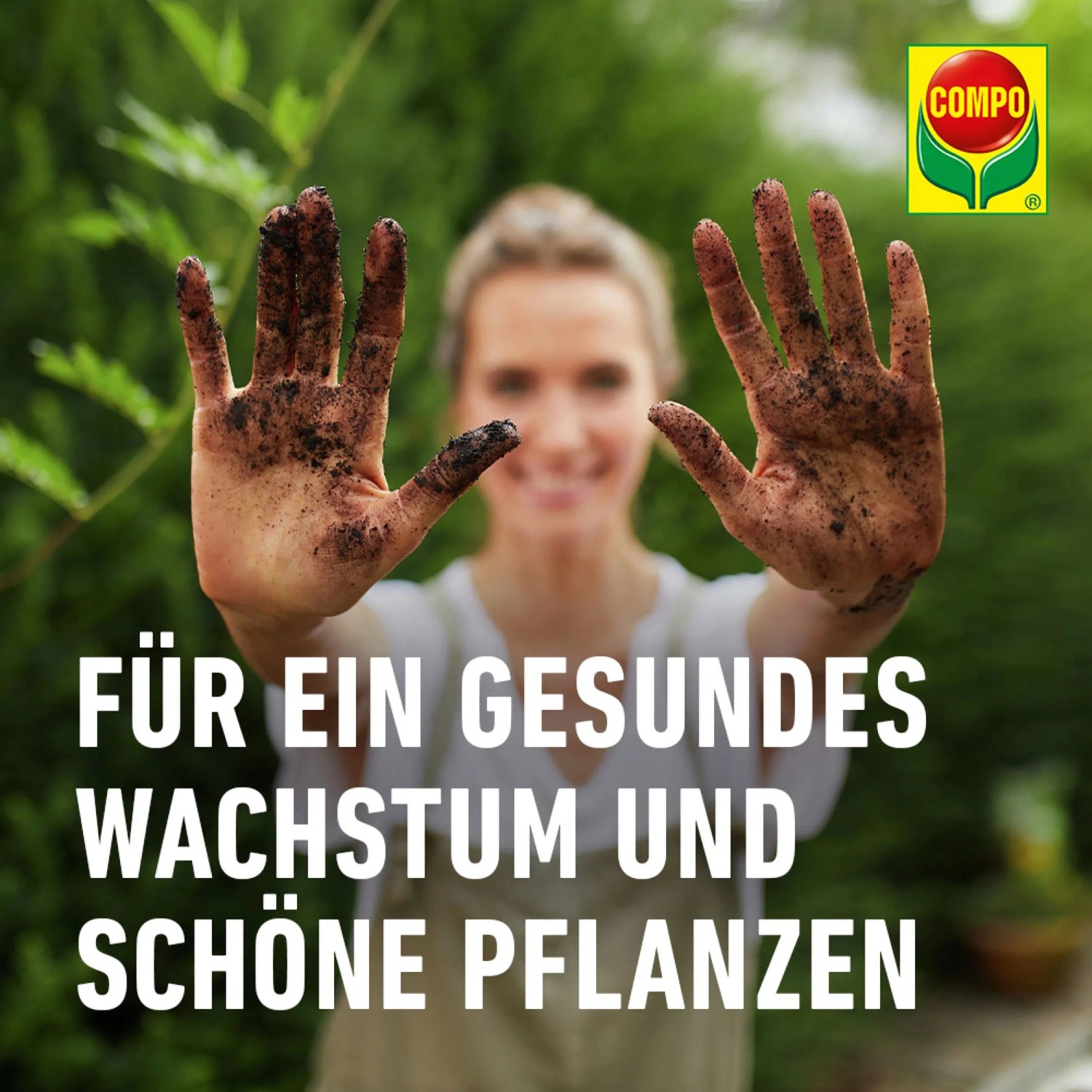 bio saatgut gnstig Bio Salatgurke Telegraph Improved Samen  Bio-zertifiziert