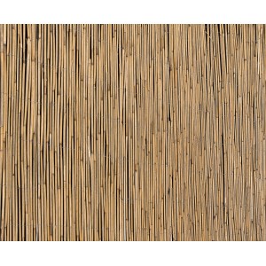 Stuoia di canna Floraworld, 200x600cm, come schermo naturale per balconi e giardini.