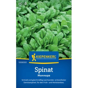 Graines d'épinards Kiepenkerl Monnopa : Épinards frais et verts dans le jardin, idéal pour la culture.