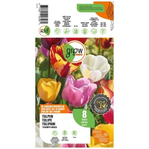 GROW by OBI Mix di Tulipani Triumph, 8 bulbi colorati in rosso, giallo, rosa e bianco.
