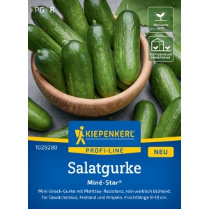 Graines de concombre Kiepenkerl Miné-Star : mini concombres dans un bol en bois, variété résistante pour jardin & serre.