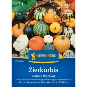 Kiepenkerl Courge d'ornement comestible, mélange multicolore dans un panier.