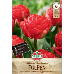 Sperli Blumenzwiebel Gefüllte Frühe Tulpe Pamplona, rote Blüten
