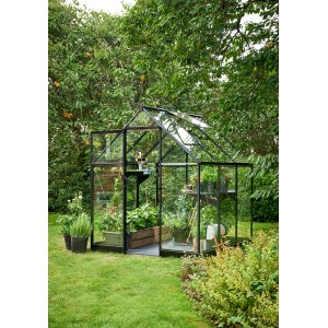 Serre noire Halls Qube 66 avec des plantes dans le jardin.