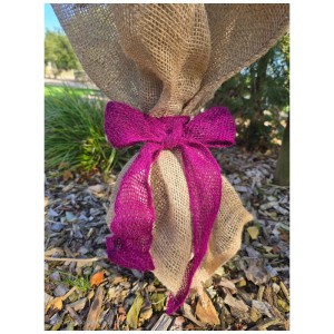 Nastro di iuta Videx Garden color bosco per la protezione degli alberi, con fiocco rosa.