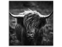 Glasbild Highlander 50 x 50 cm