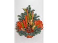 Grabschale Nobilis Orange Topf ca. 18 cm