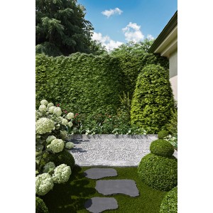 Pas japonais en pierre naturelle Blue-Stone dans le jardin, 45x35 cm. Aménagement paysager décoratif avec des matériaux naturels.