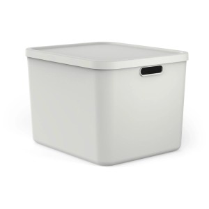 Rotho Multibox Albula Mistletoe Weiss 55 l. Stapelbare Aufbewahrungsbox mit Deckel und Griffen.