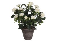 Mica Decorations Kunstpflanze Rosenstrauch Weiss Topf Ø 25 cm / Höhe 33 cm