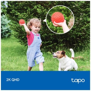 Kind spielt mit Ball, Hund schaut zu. Tapo Überwachungskamera-Kit C425 im Hintergrund.