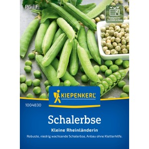 Graines de pois écossés Kiepenkerl Kleine Rheinländerin, gousses de pois vertes et pois sur l'emballage.