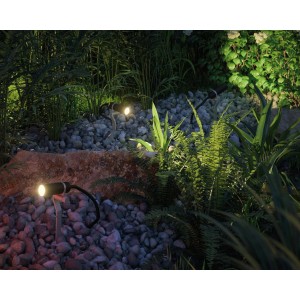 Faretti LED Paulmann Plug & Shine Plantini in giardino, luce bianca calda.