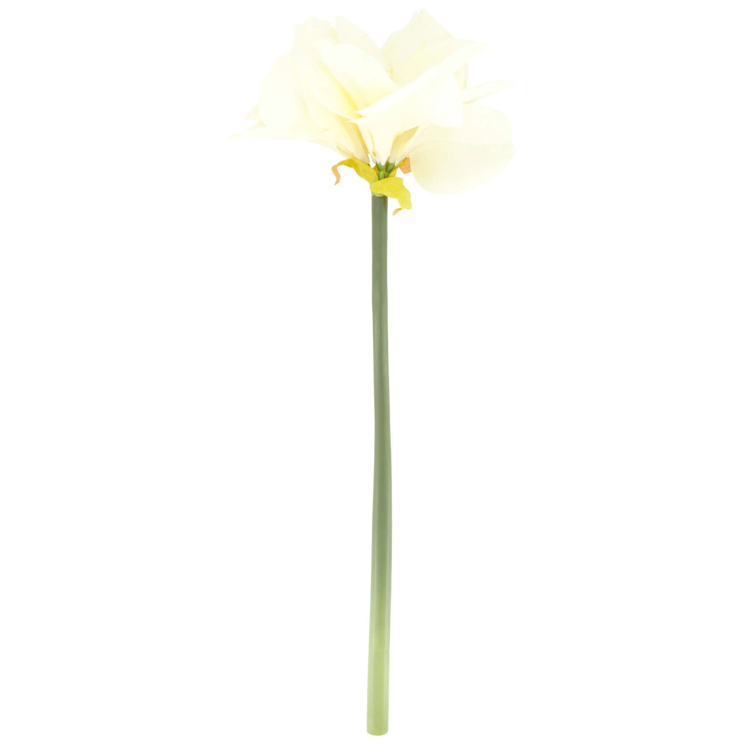 Decofinder Kunstblume Amaryllis Cremeweiss Hhe 71 cm
